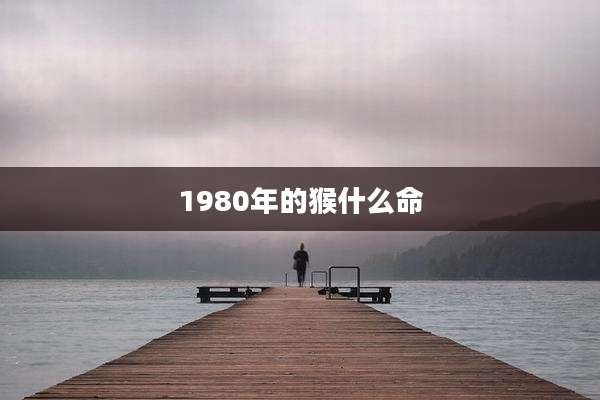 1980年的猴什么命