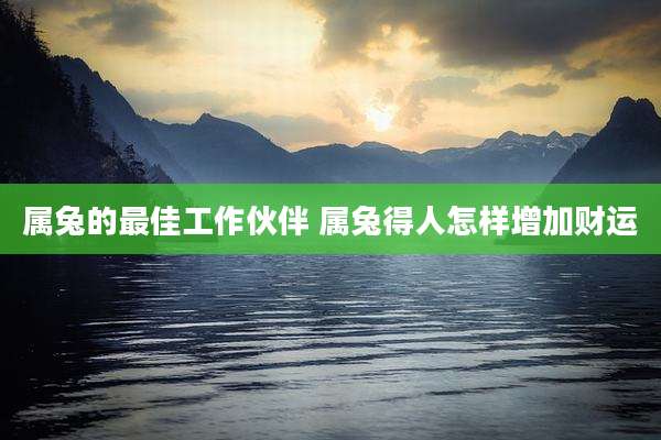 属兔的最佳工作伙伴 属兔得人怎样增加财运