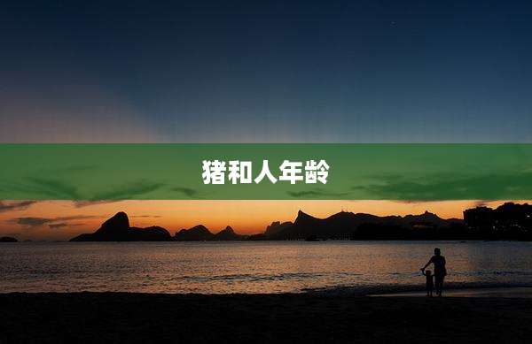 猪和人年龄