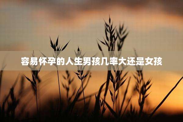 容易怀孕的人生男孩几率大还是女孩