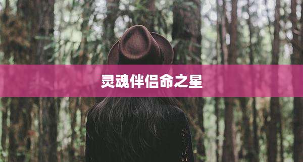 灵魂伴侣命之星