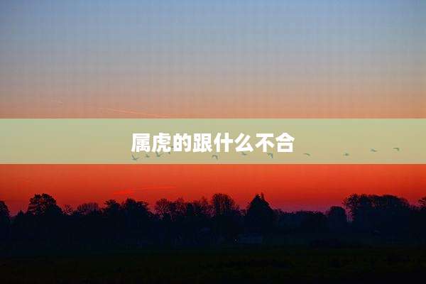属虎的跟什么不合