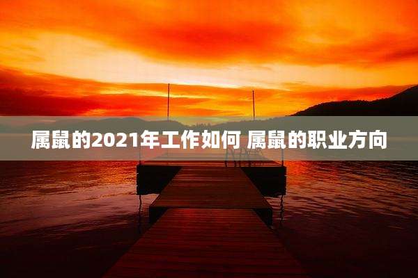 属鼠的2021年工作如何 属鼠的职业方向