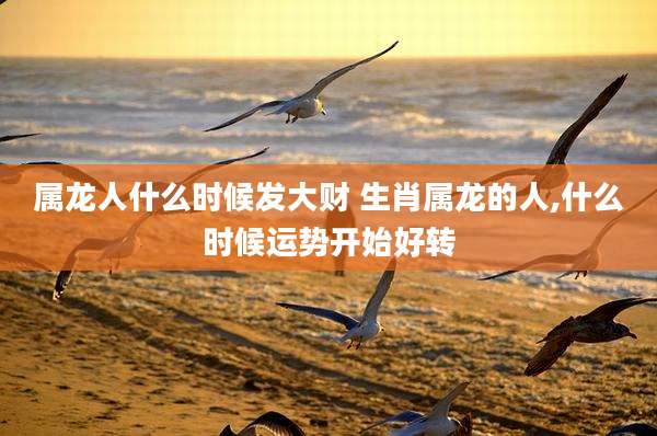 属龙人什么时候发大财 生肖属龙的人,什么时候运势开始好转