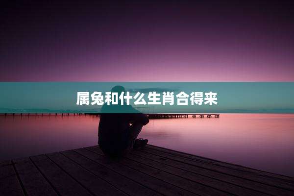 属兔和什么生肖合得来