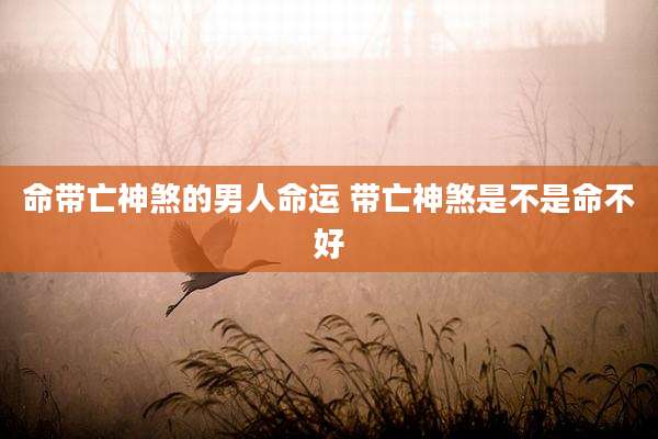 命带亡神煞的男人命运 带亡神煞是不是命不好