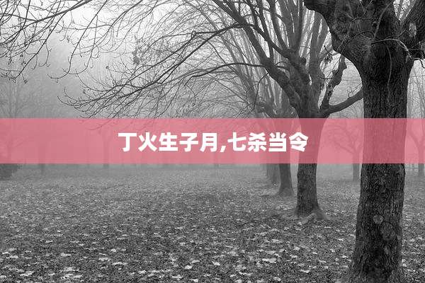 丁火生子月,七杀当令