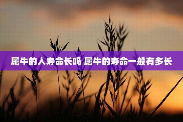 属牛的人寿命长吗 属牛的寿命一般有多长