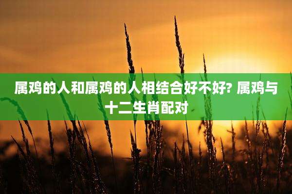 属鸡的人和属鸡的人相结合好不好? 属鸡与十二生肖配对