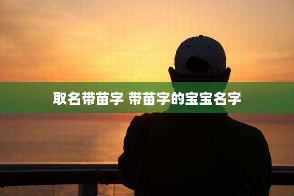 取名带苗字 带苗字的宝宝名字