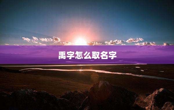 禹字怎么取名字