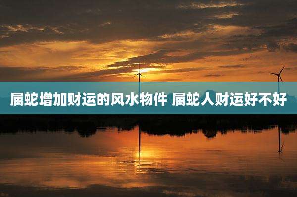 属蛇增加财运的风水物件 属蛇人财运好不好