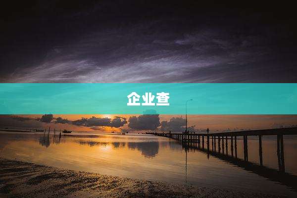 企业查