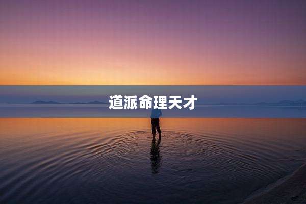 道派命理天才