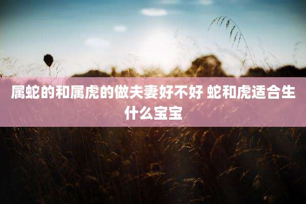 属蛇的和属虎的做夫妻好不好 蛇和虎适合生什么宝宝