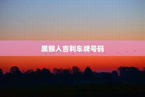 属猴人吉利车牌号码