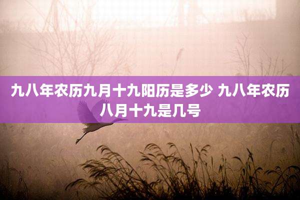 九八年农历九月十九阳历是多少 九八年农历八月十九是几号