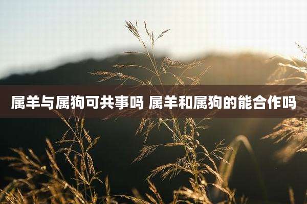 属羊与属狗可共事吗 属羊和属狗的能合作吗
