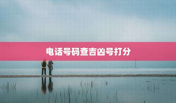 电话号码查吉凶号打分