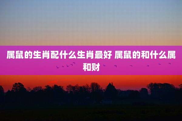 属鼠的生肖配什么生肖最好 属鼠的和什么属和财