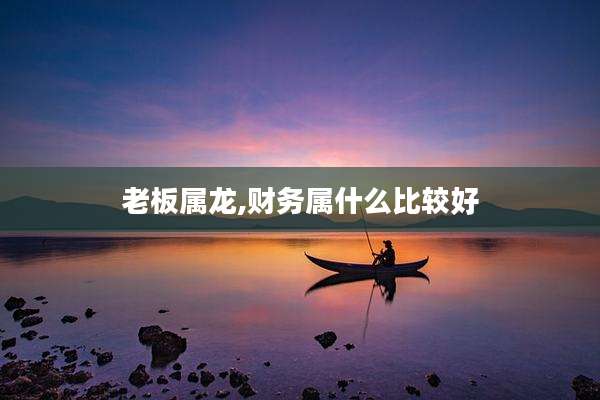 老板属龙,财务属什么比较好