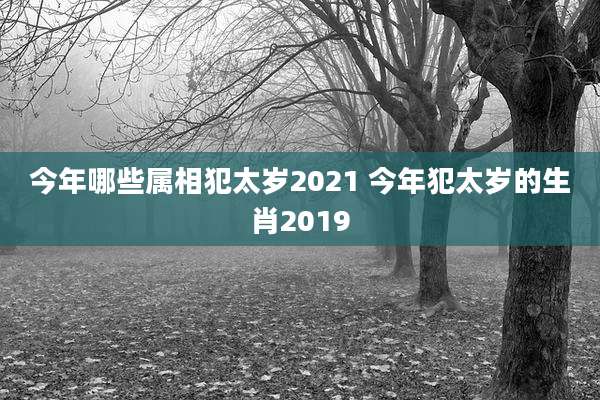 今年哪些属相犯太岁2021 今年犯太岁的生肖2019