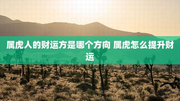 属虎人的财运方是哪个方向 属虎怎么提升财运