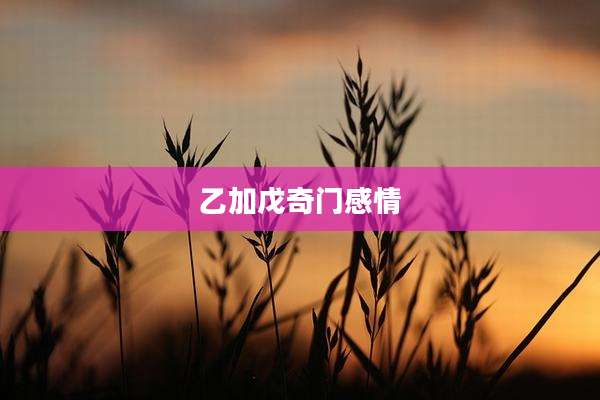 乙加戊奇门感情