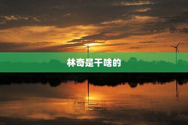 林奇是干啥的