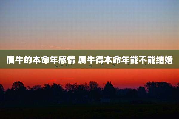 属牛的本命年感情 属牛得本命年能不能结婚