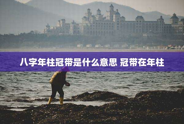 八字年柱冠带是什么意思 冠带在年柱