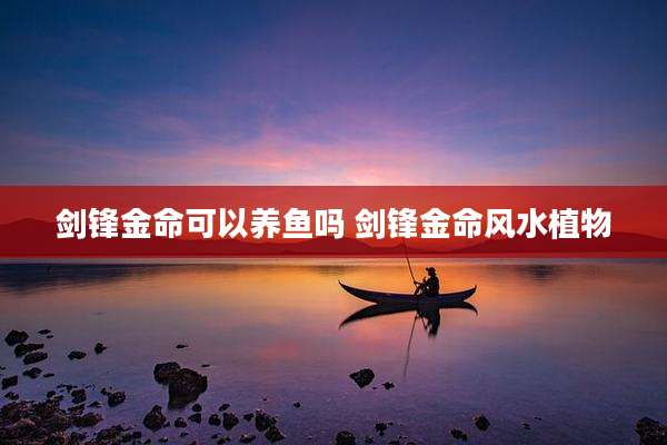 剑锋金命可以养鱼吗 剑锋金命风水植物