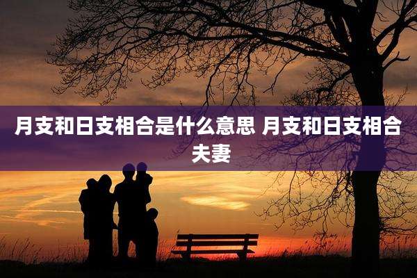 月支和日支相合是什么意思 月支和日支相合 夫妻