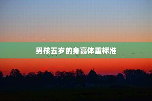 男孩五岁的身高体重标准
