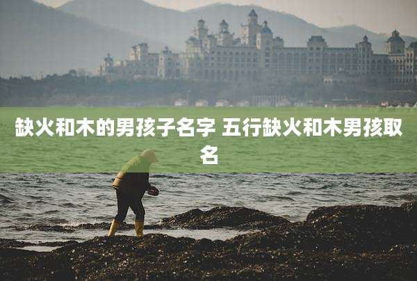 缺火和木的男孩子名字 五行缺火和木男孩取名