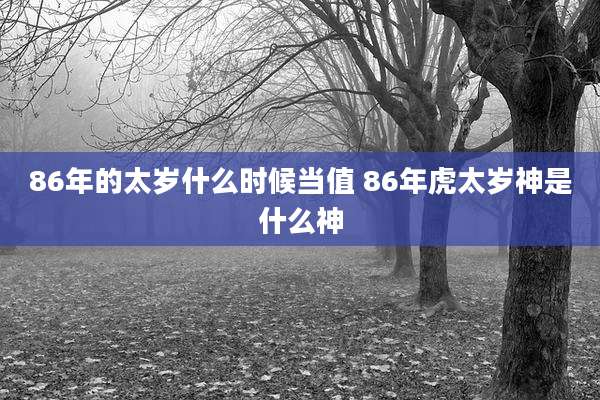 86年的太岁什么时候当值 86年虎太岁神是什么神