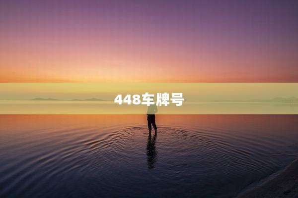 448车牌号