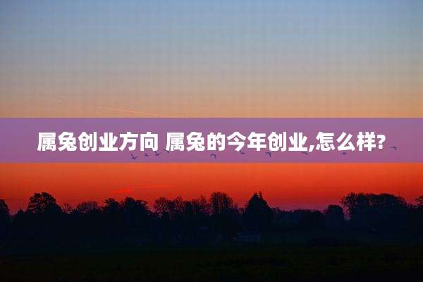 属兔创业方向 属兔的今年创业,怎么样?