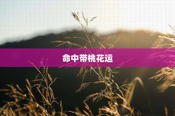 命中带桃花运