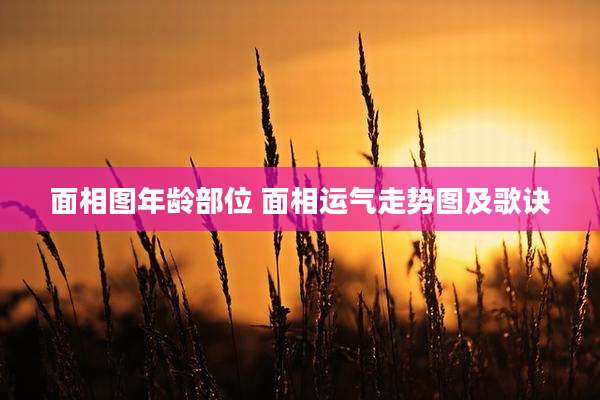 面相图年龄部位 面相运气走势图及歌诀