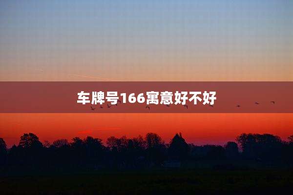 车牌号166寓意好不好