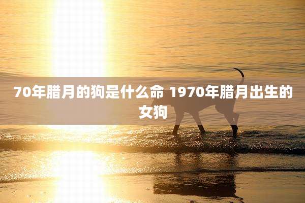 70年腊月的狗是什么命 1970年腊月出生的女狗