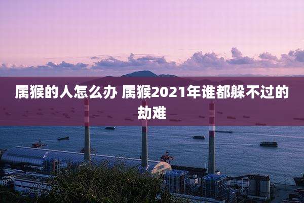 属猴的人怎么办 属猴2021年谁都躲不过的劫难