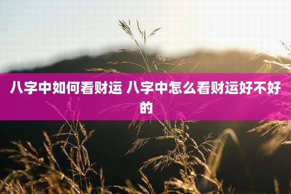 八字中如何看财运 八字中怎么看财运好不好的