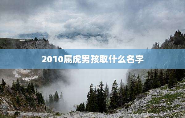 2010属虎男孩取什么名字