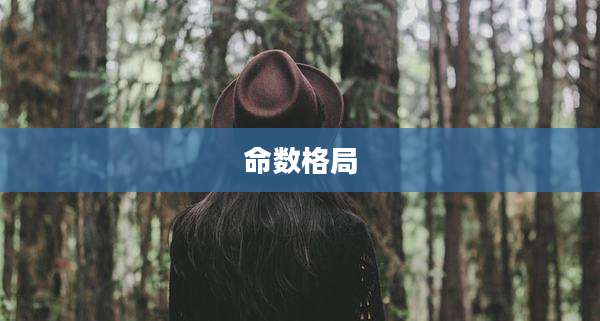 命数格局