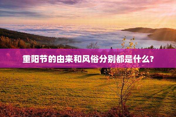 重阳节的由来和风俗分别都是什么?
