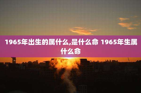 1965年出生的属什么,是什么命 1965年生属什么命