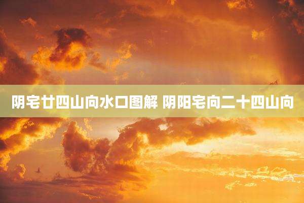 阴宅廿四山向水口图解 阴阳宅向二十四山向