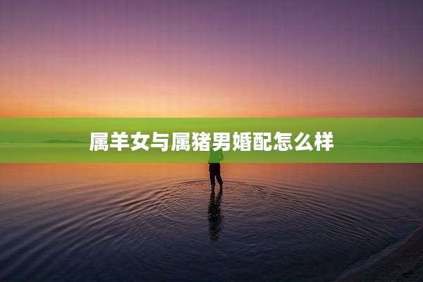 属羊女与属猪男婚配怎么样